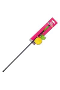 Eastland Kedi Otlu Ananaslı Kedi Oltası 44 cm