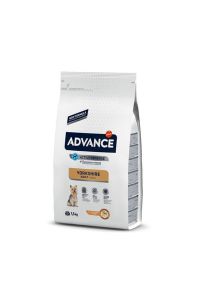 Advance Yorkshire Terrier Yetişkin Köpek Maması 1,5 Kg